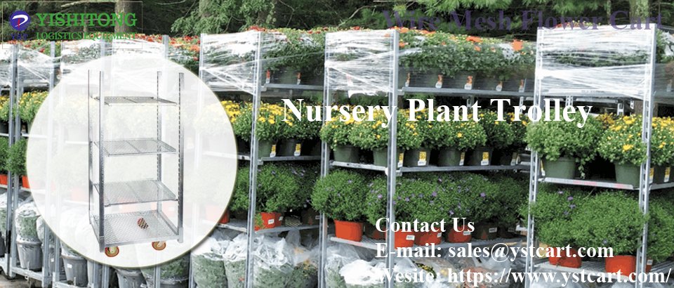 YstLogistics's tweet photo. Nursery plant trolley - smallest and most convenient!
Contact us:
E-mail: sales@ystcart.com
Wesite: https://t.co/ZbRIj2UJdC
#danishtrolley #ystcart #cccontainer #flowercart #ODM #OEM #factory #manufacturer #storageflower #displayflower #nursery #greenhouse #garden #customized https://t.co/7ZyD3pVpnI