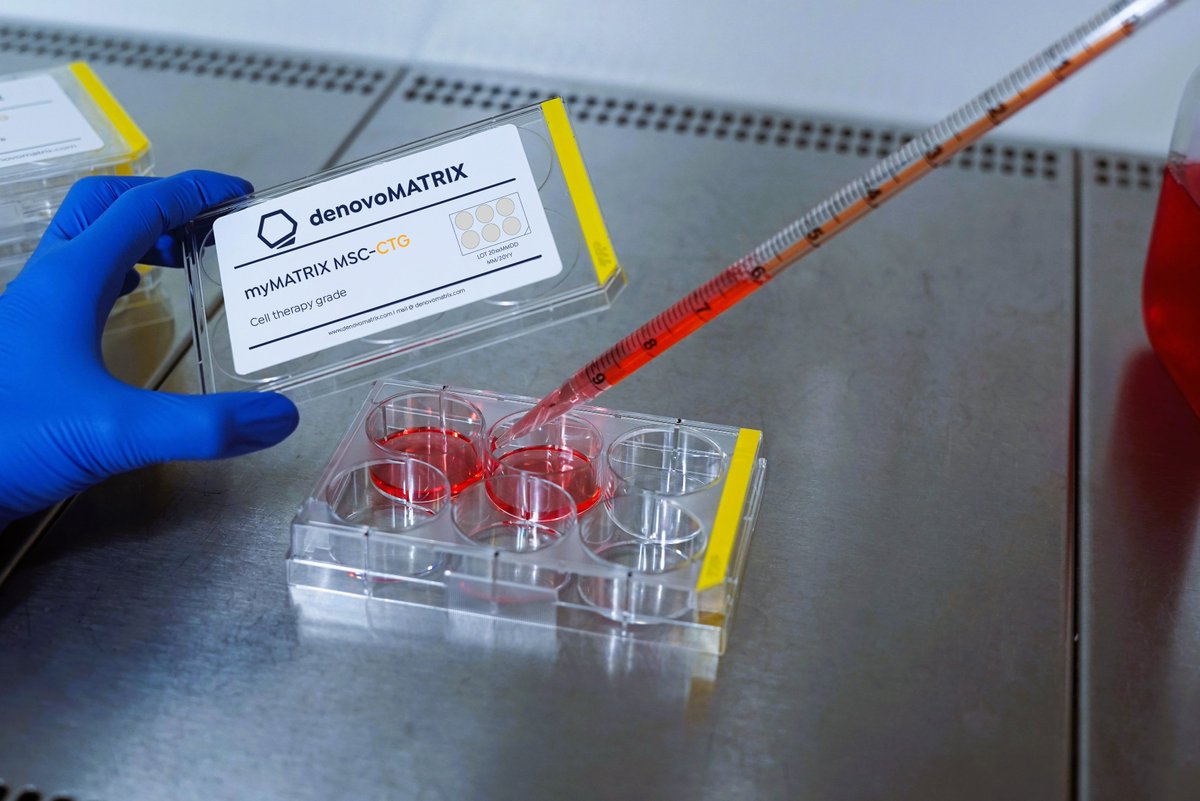 _denovoMATRIX's tweet photo. Translating stem cell research to the clinic? Exciting news 🚨!
Tailored myMATRIX biomatrices are now available in Cell Therapy Grade (CTG).
Check out our latest press release and find all information about CTG on our website:
https://t.co/XVEYP7Dxu2
https://t.co/T7rzFf4p24 https://t.co/IFmJSctdc2