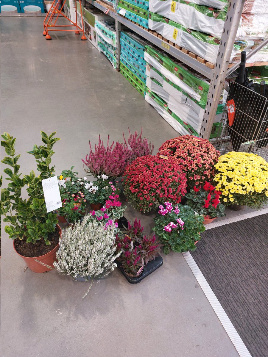Quick stop at B&amp;Q to collect a few plants for our residents at Edison Drive.. updates will be shown later #teampurple @pa_housing #communityfund #NOOHOOD12