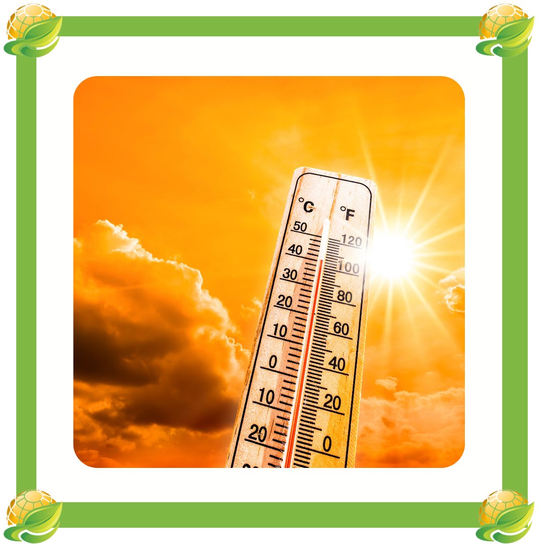 GreenActionSo's tweet photo. According to a report from the Intergovernmental Panel on Climate Change (IPCC) the last 30 years have had the most extreme heat waves on record. ⚠️

Significant action is needed!

#greenactionkenya #climatechange #heatwaves #drought #recordheat #extinctionrebellion #greenpeace https://t.co/eE2AINfT81
