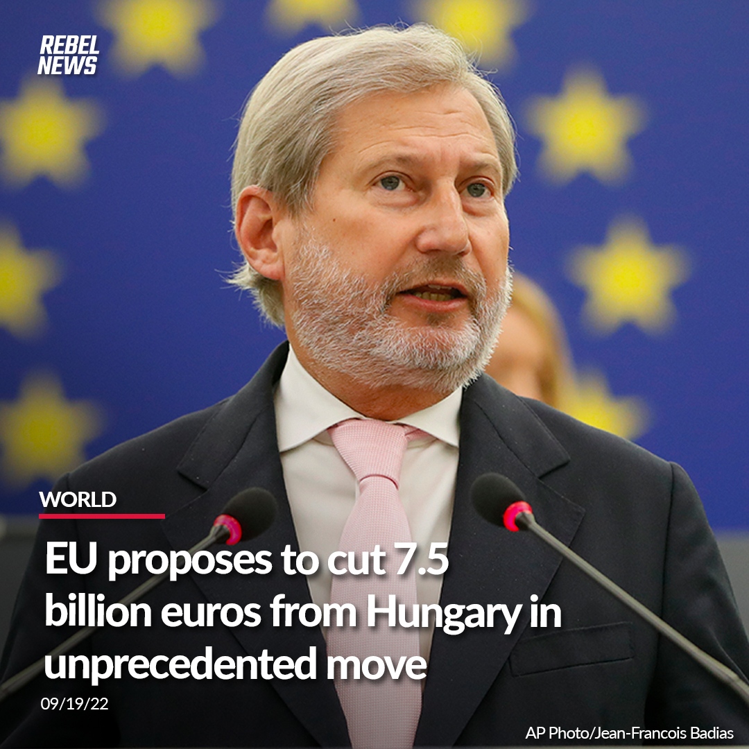 The Billion-Euro Question of Rule of Law