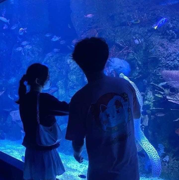 aquarium date
