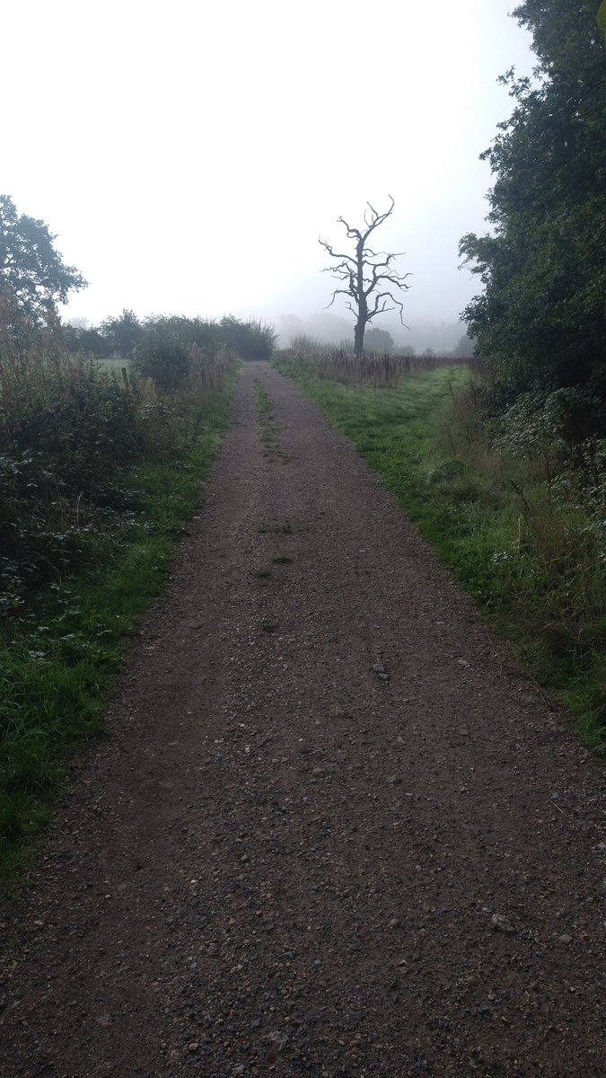 A different walk to work this morning. 
On my way to Grange Park Opera.