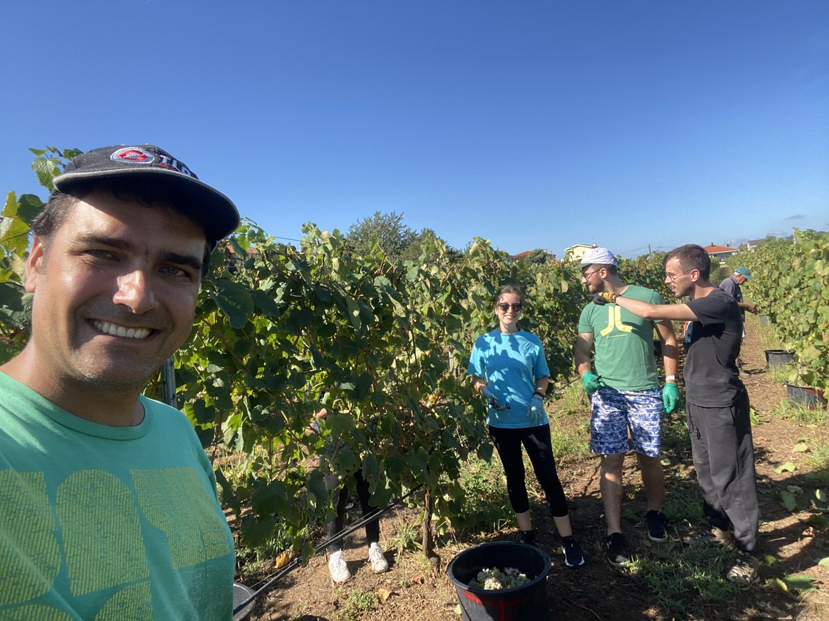 Joao_F_Oliveira's tweet photo. Fantastic #astrogang day off for #Alvarinho #grape #harvesting at my homeland #Monção #moncaoemelgaco
#winesofportugal
#astrocytesrule https://t.co/b3a4FOqIk5