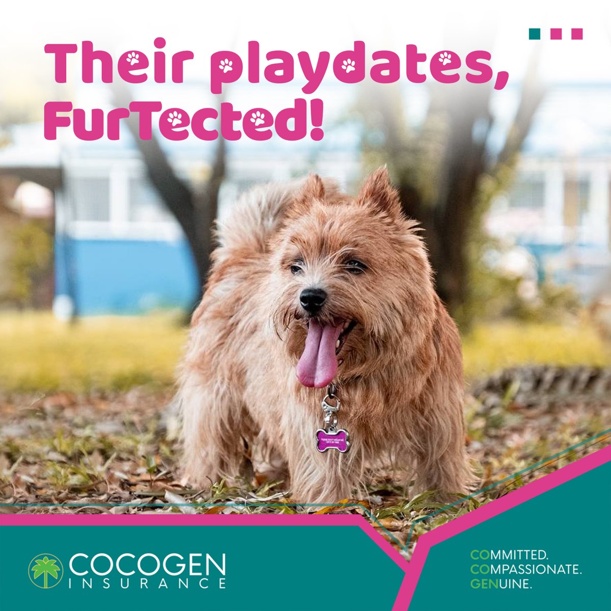 cocogenofficial's tweet photo. Because your pet deserves the best FurTection all day, every day. 🐾

For your fur babies, choose Pet Furtect, winner of the @IntlFinanceMag award for the Most Innovative New Pet Insurance Product for 2022.

For more info, click here: https://t.co/8aq4AWzIx4

#WeGotYou 🌴 https://t.co/qp1d4O0A70
