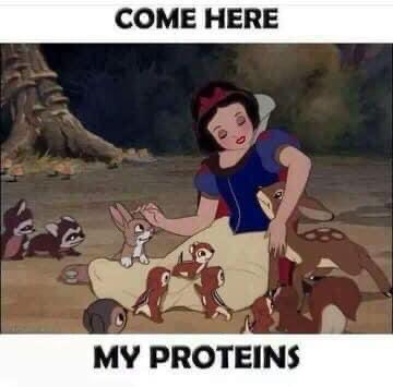 TWilsonOttawa's tweet image. #Fall is coming 🇨🇦🍁❤️ which means hunting season is coming ❤️🦌🎯 #JustHunt #CanadaHunts #protein #SelfSourced #ethical #CleanFood #family #EatSleepHunt #ApologizeToNobody