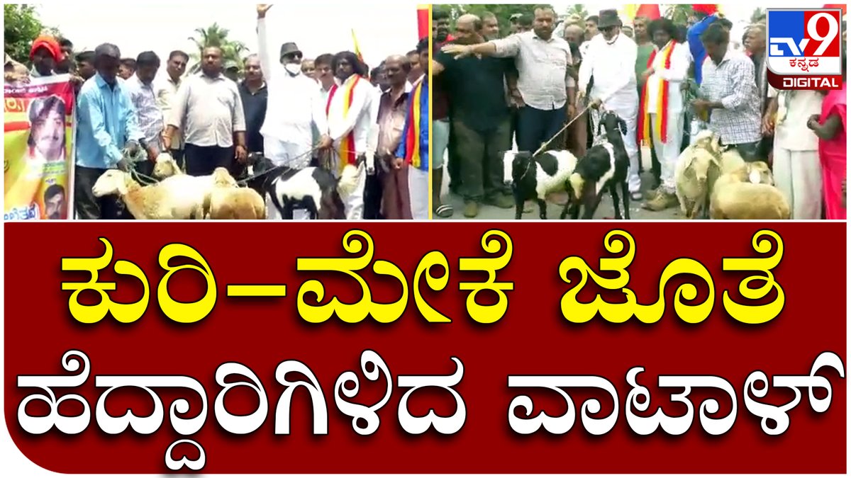 tv9kannada's tweet photo. Vatal Protest: ಕೈಯಲ್ಲಿ ಕುರಿ ಮರಿ ಹಿಡಿದು ವಾಟಾಳ್ ನಾಗರಾಜ್ ವಿನೂತನ ಪ್ರತಿಭಟನೆ | Tv9 Kannada
Video Link►https://t.co/oKgGVKpYA1
#Tv9Kannada #VatalNagaraj #Vatal #VatalProtest #Mandya #Protest #kannadaNews, https://t.co/wPbq3wSh8W