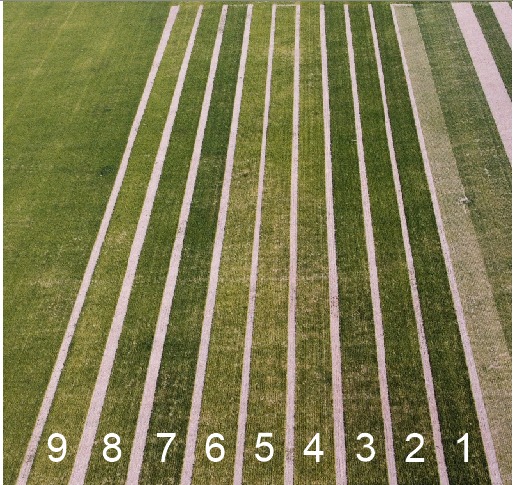 INTAMsJuarez's tweet photo. #WebINTA 💻Trigo🌱Anticipo: detalles y observaciones preliminares del ensayo de fertilización líquida incorporada que llevan adelante @INTAMsJuarez y @Produceagro1 en esta campaña 🌱🖱https://t.co/DLTn3F6xIR https://t.co/vfN0cFgNZ5