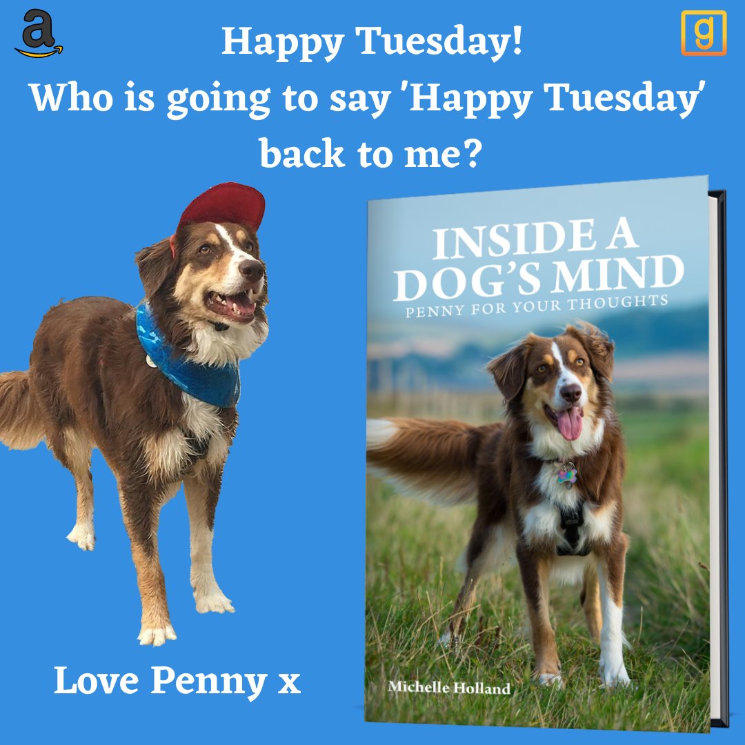 <a href="/davepperlmutter/">David P Perlmutter - Author. Actor. Dreamer. ✍🏼🎬</a> Well? #rescuedog #doglover #youngadult #rescue #collie #Retweetplease #adventure #book #retweets #BooksOffice #smartreads #dogsofinstagram #adventure #dogwalking #Truestory amzn.to/2SGZM2V <a href="/StuartHobrow/">Stuart Hobrow</a> @Frank_Butterfly