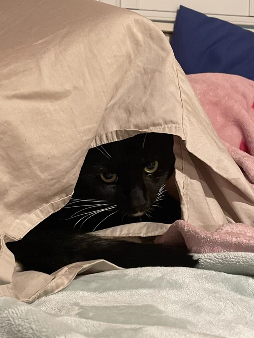 he's just a silly little man 