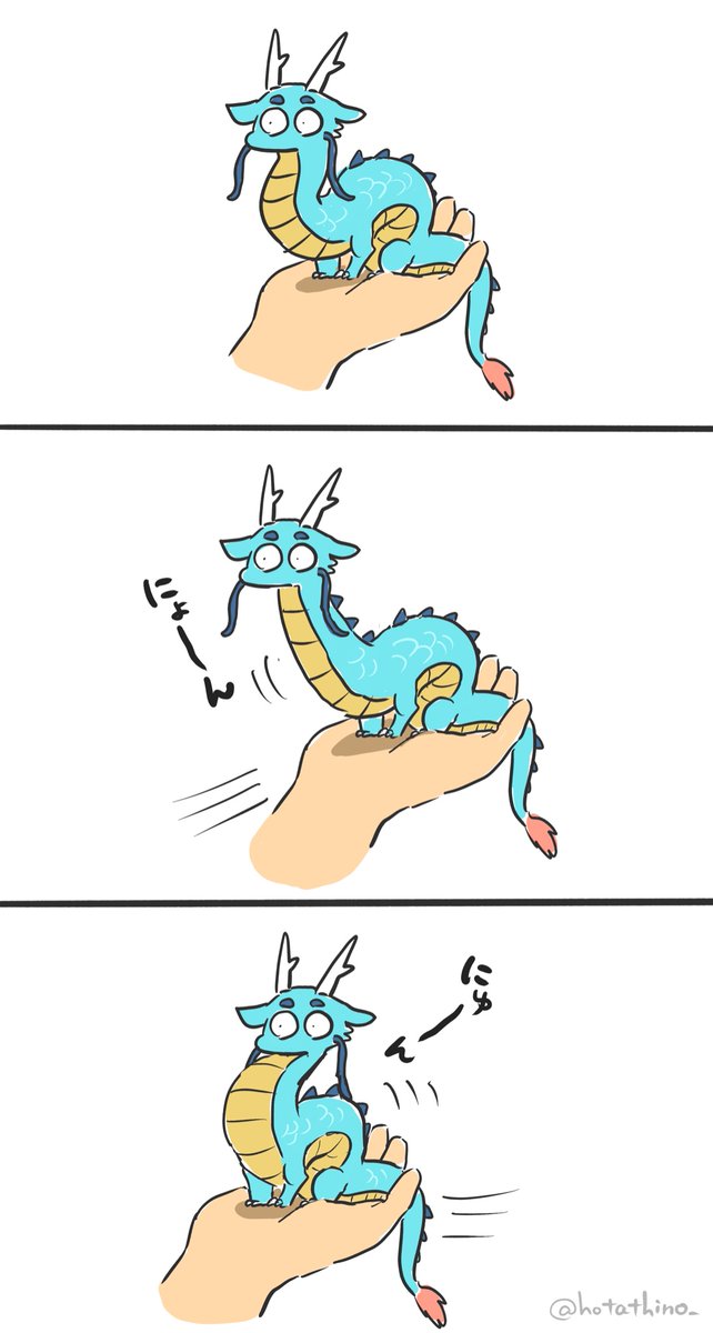 鳥さんのよく見るあれ 