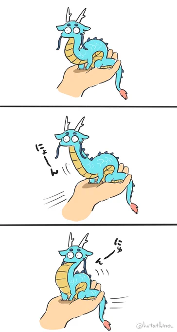 鳥さんのよく見るあれ 
