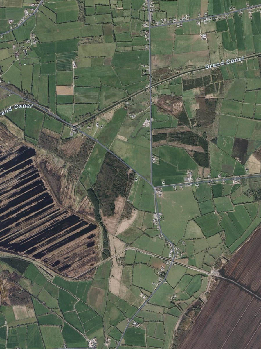 drivers II:

you can verify this by looking at aerial images of Ireland. most green areas are fields resown in agricultural grasses, dark green areas commercial plantations of North American conifers, and brown areas cutover bogs or sheep-grazed mountain. 

little else is left