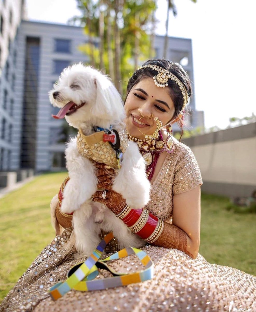GrandHyattMum's tweet photo. #GrandWeddings are always a fun filled affair with the entire family.
Celebrate beginning of your wonderful union in style at #GrandHyattMumbai!
#GoGrand #MomentsOfMore #PetFriendly #PetFriendlyHotel #Mumbai #Weddings #Hyatt https://t.co/nICFStC62U