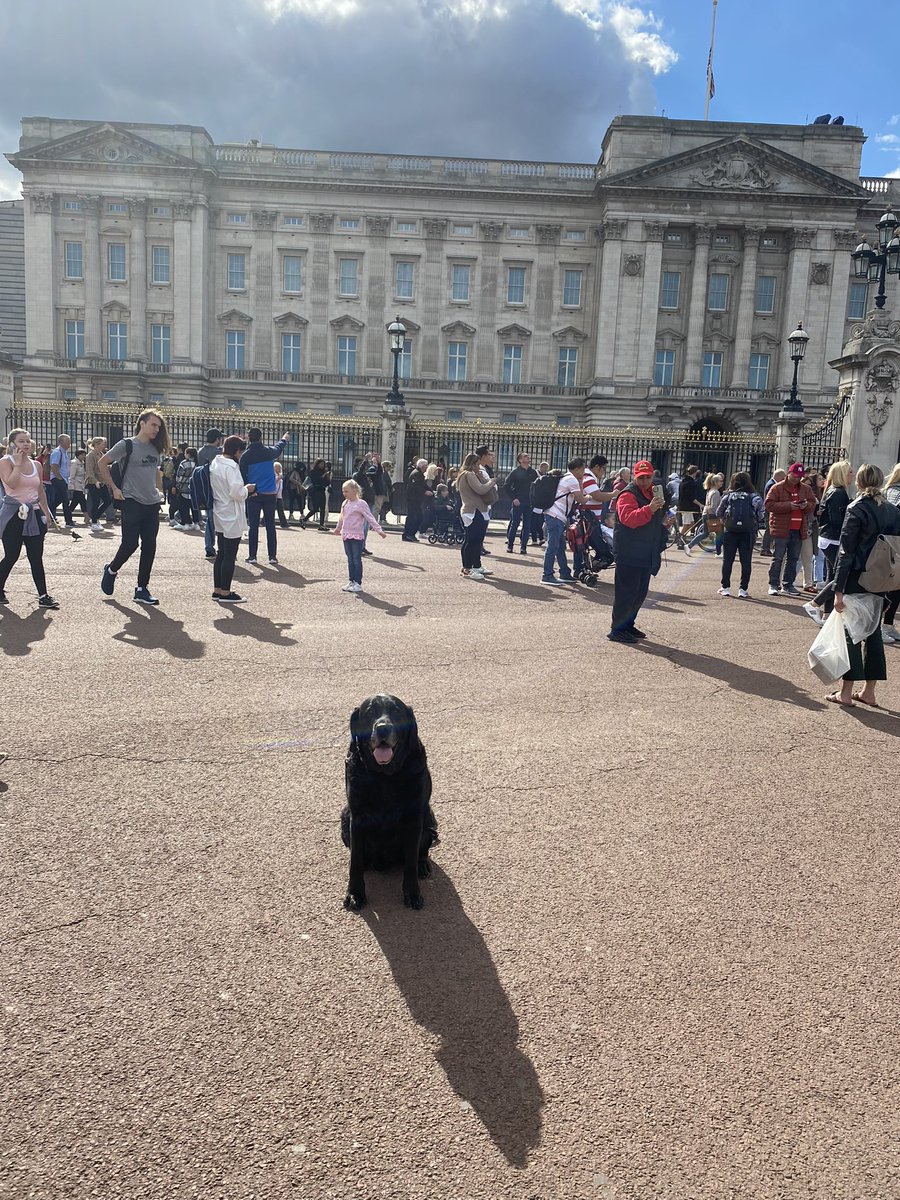 No corgis but he had a good day!