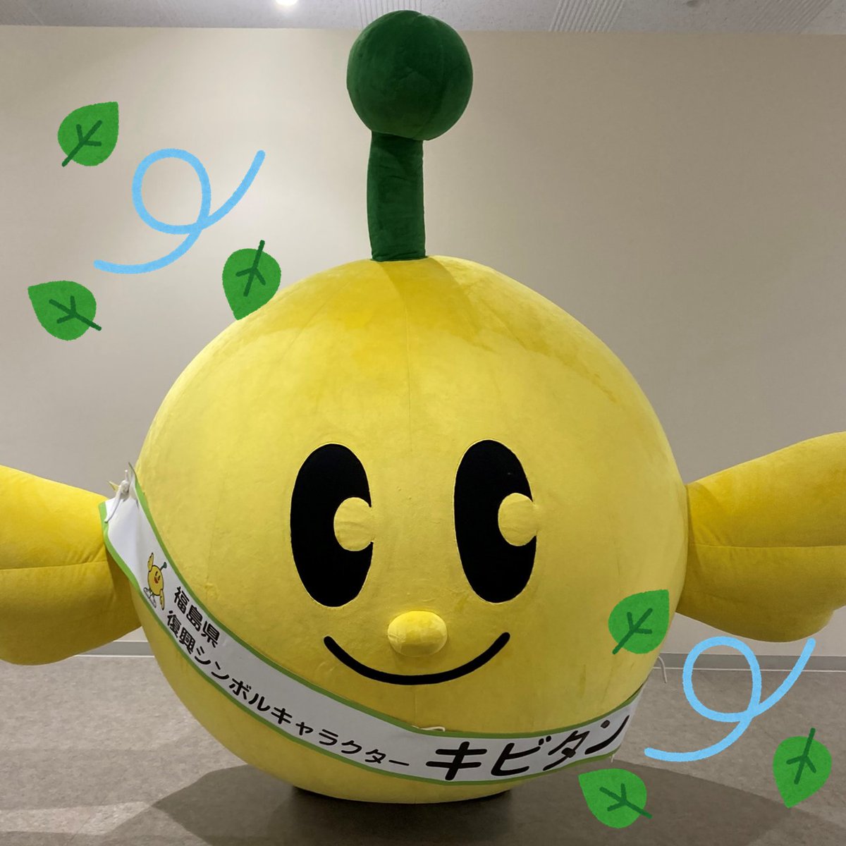 キビタン 公式 Fromkibitan Twitter