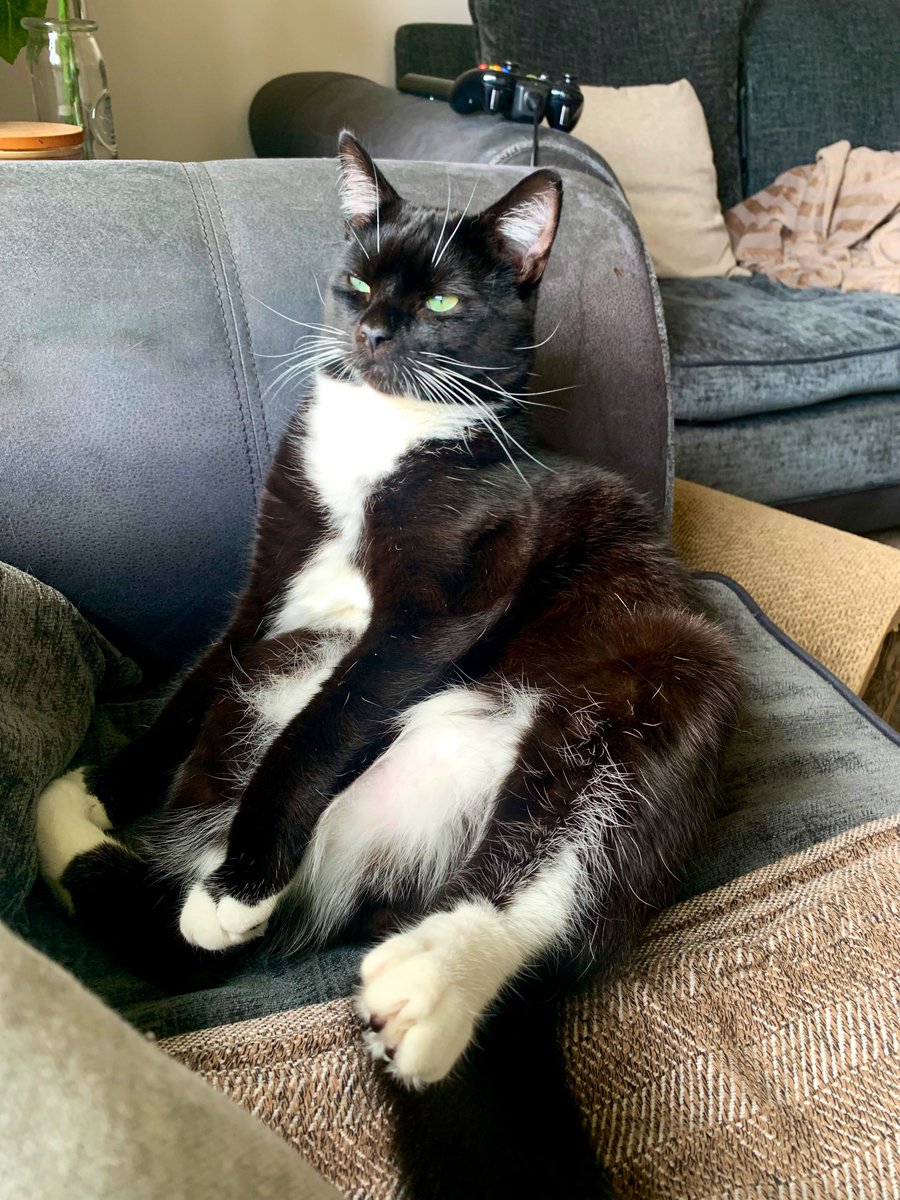SputnikTheCat's tweet photo. thinky about byesexuals,,. aware of theme.,, https://t.co/rtFqlpKRP6
