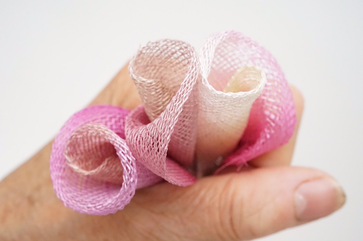 Bridget Bailey tweet media