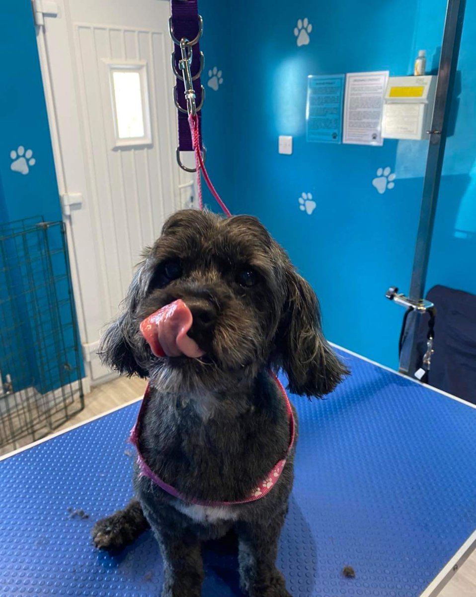 Paula Cooper tweet media