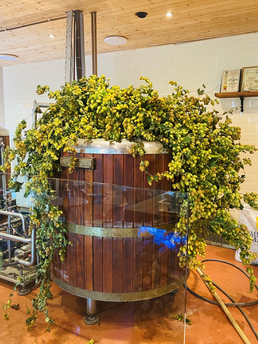 🍻 Cheers! Join us as we celebrate the launch of two new pilgrim ales to mark #KentPilgrimsFestival and the history of the #MaisonDieu #Dover as a medieval hospital for pilgrims on their way to the shrine of Thomas Becket <a href="/Breakwater304/">Breakwater Brewery</a> <a href="/VisitDover/">White Cliffs Country</a>  dover.gov.uk/News/Press-Rel…