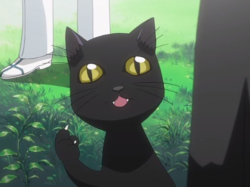 blackcat_Yoru1's tweet photo. “เหมียว~” https://t.co/GqMDToBbCZ