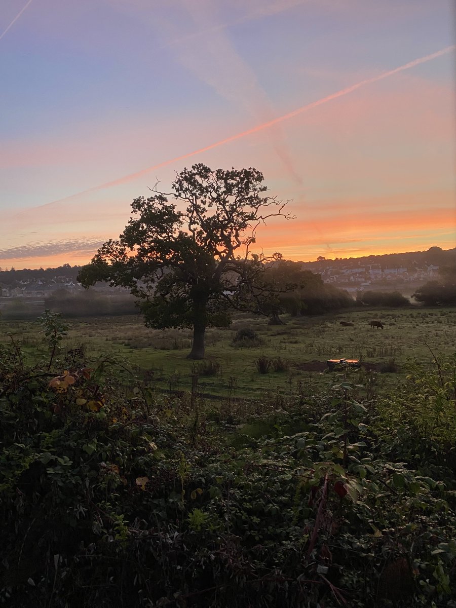 DecoyPri's tweet photo. It was a beautiful start to the day here at Decoy. 
We hope you have a great week. https://t.co/JBkxrGNECY