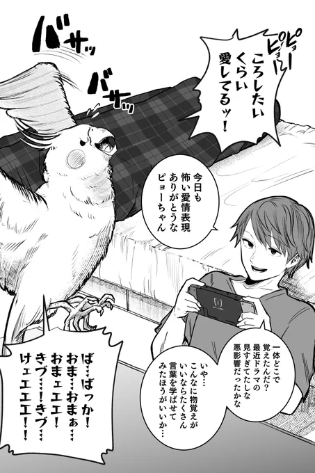 インコちゃんは伝えたい2 