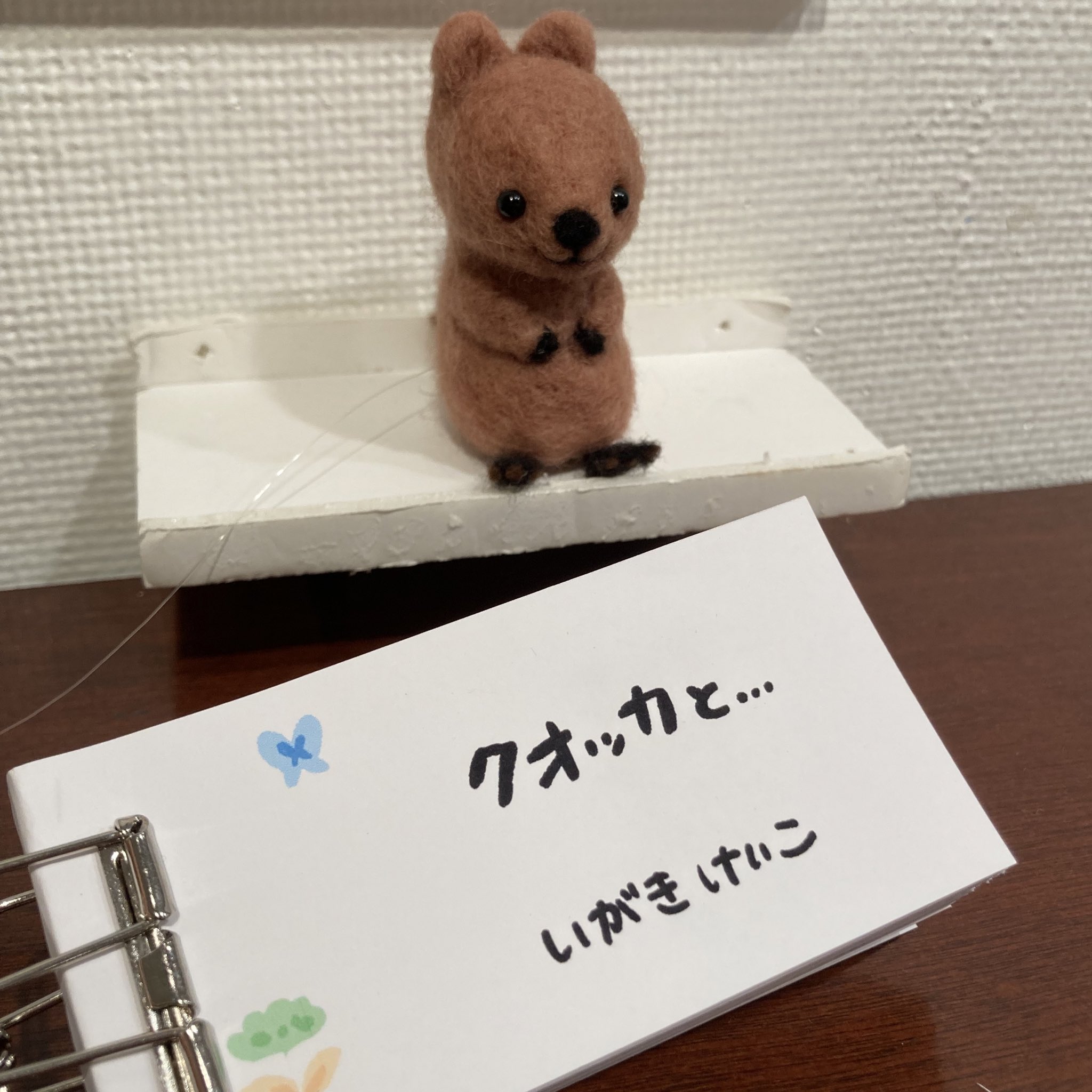 Space K 代官山 Spacekdaikanyam Twitter