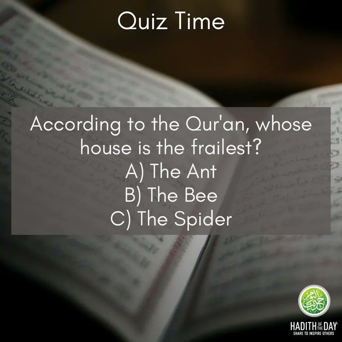 app_islam's tweet photo. Quiz Time!
According to the Quran, whose house is the Frailest
A) The Ant
B) The Bee
C) The Spider https://t.co/xaWM1heeQH