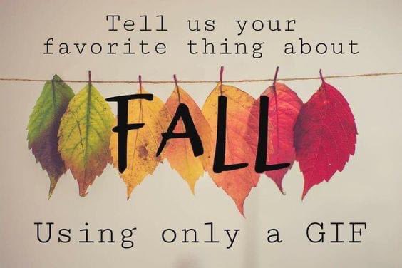Fuziaworld's tweet photo. Share on Your Stories- tag @fuziaworld We will #RETWEEET 

#falltimes #september #favoritetime #pumpkins #cozyhome #fuziaworld https://t.co/uqbz7lEtIg