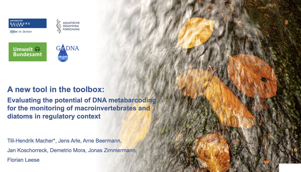 leeselab's tweet photo. Parallel on Wednesday our #eDNA #Bioassessment session, organised by @BfG_Presse @unidue @Umweltbundesamt #GeDNA starts 14:00. @TillMacher will kick off the session with new #GeDNA data on #fish #mzb and diatoms at 14:20. https://t.co/5gDZuFXYDG