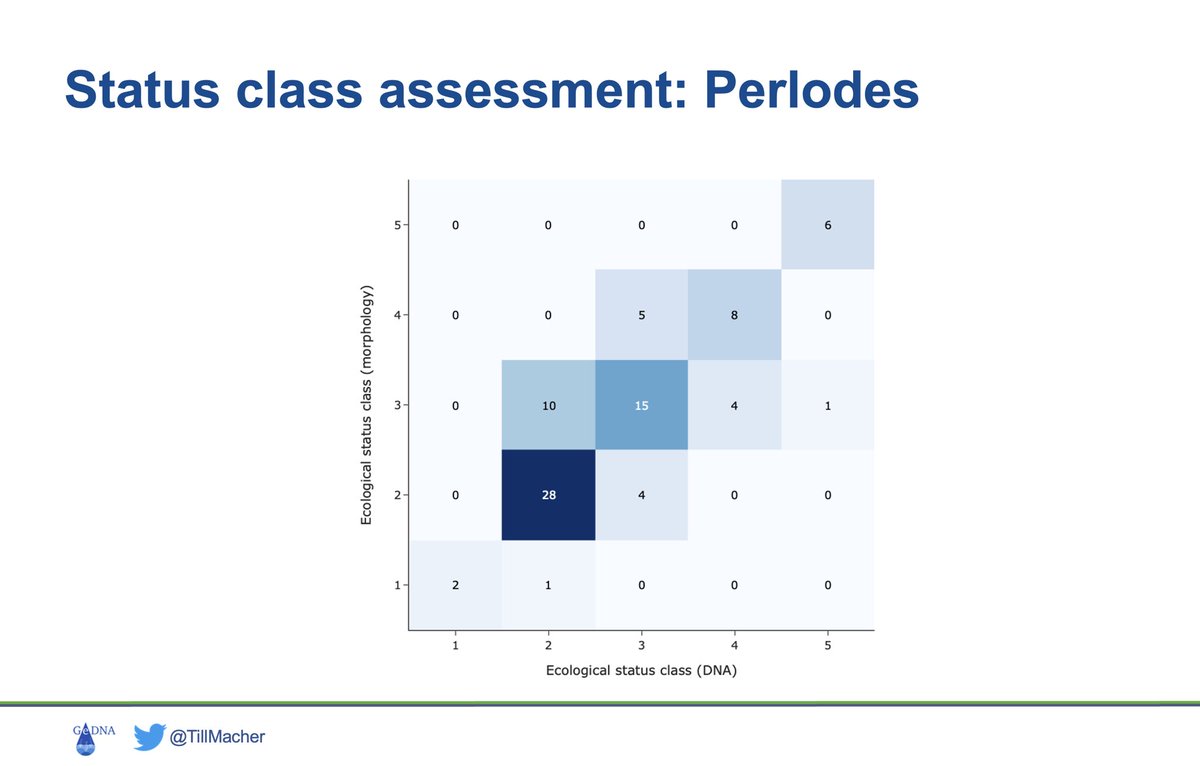 leeselab's tweet photo. Parallel on Wednesday our #eDNA #Bioassessment session, organised by @BfG_Presse @unidue @Umweltbundesamt #GeDNA starts 14:00. @TillMacher will kick off the session with new #GeDNA data on #fish #mzb and diatoms at 14:20. https://t.co/5gDZuFXYDG