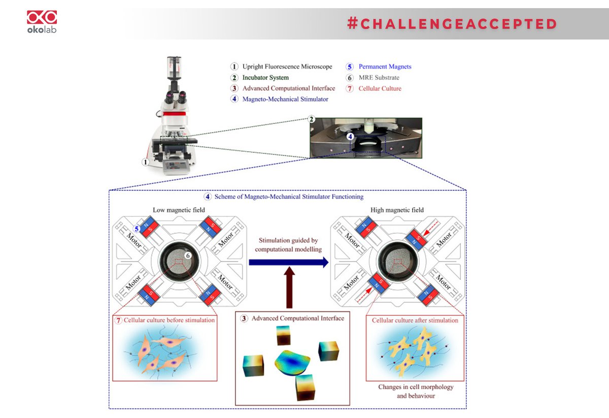 Okolabgroup's tweet photo. #challengeaccepted – Vol. 2
Here’s another example of a complex request that we’ve gotten for a customized #microscopeincubator, one which has contributed to making #Okolab recognized as #theincubationexperts. Curious? Click here to learn more: https://t.co/iWKd1ssntW https://t.co/h2PMBcWbr0