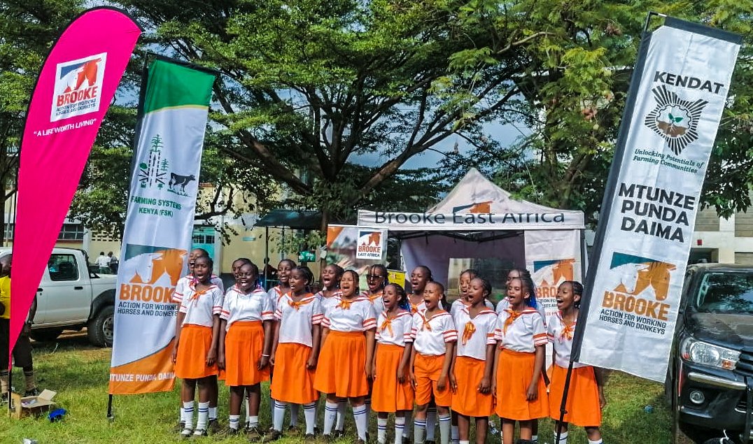 Musa Gitau primary school practicing for a performance at the  94th edition of the Kenya Music Festivals currently ongoing in Kisumu with the theme; Donkey power for prosperity.
 #heshimupunda #mtunzepundadaima #donkeypowerforprosperity #donkeycareclub #kenyamusicfestivals