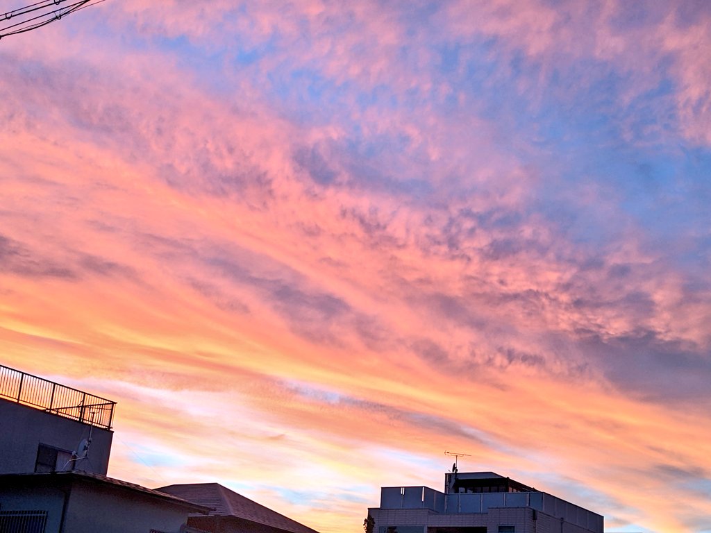 rie_uniuni's tweet photo. お疲れさまーの火曜日。
外出たら綺麗な夕焼け🍁　

今日のおやつは
先日買ったブルーオリオンさんの細長いのどうまい！😋
カタカナで何ていうか忘れました😂
また買いに行くでね。
#BlueOrion https://t.co/9FHaxqDb6u