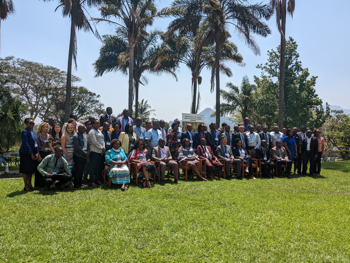 ResFoodSystems's tweet photo. A first look at the #FoodSecurity champions of the Resilient Food Systems Programme
5 years in the making
#RFS2022 https://t.co/sQZCXvSeI7