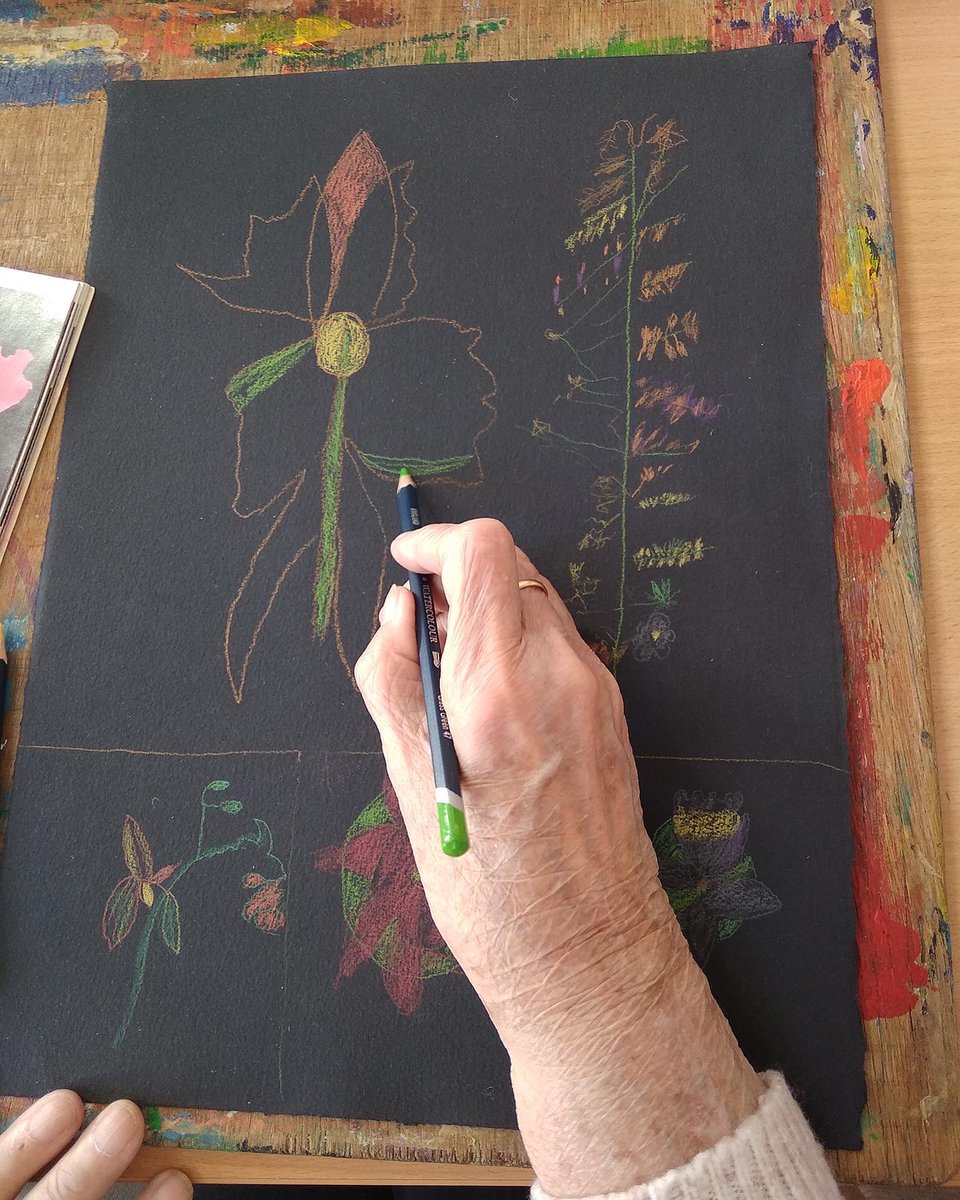 artasmedicine on Twitter "Helen drawing Celebrations for the National