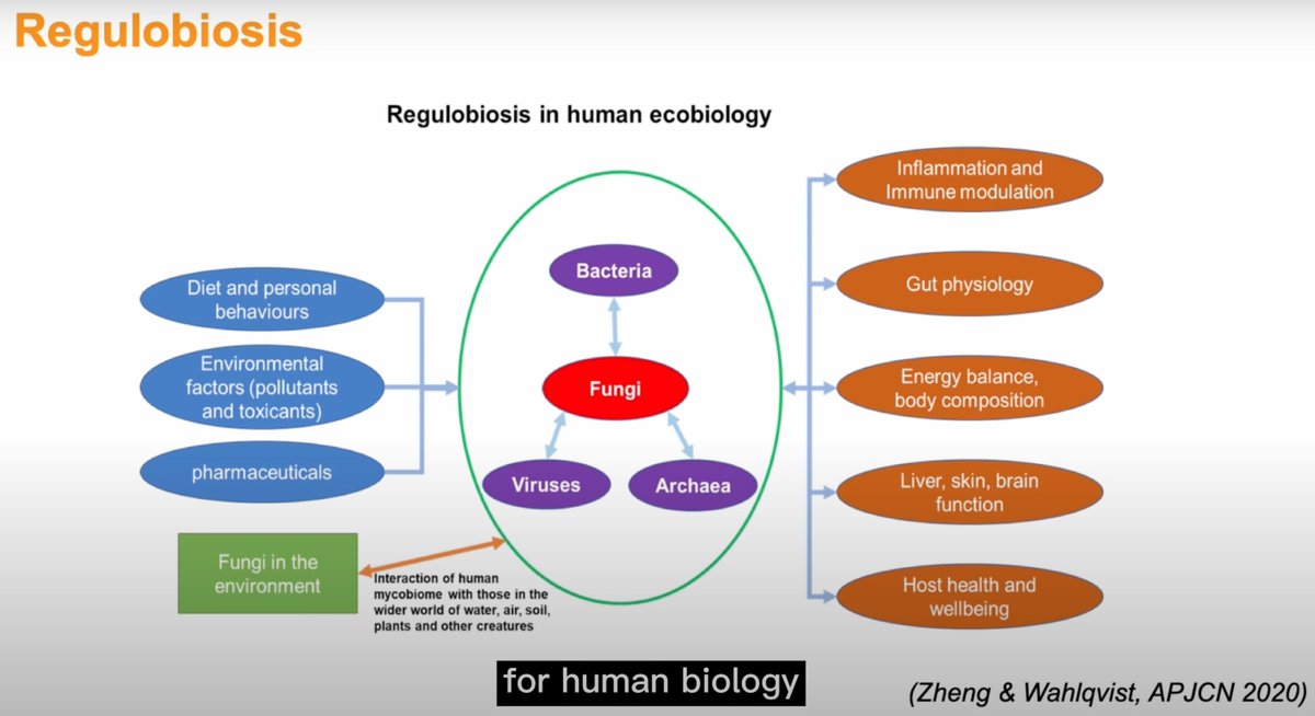 Gut_BMJ's tweet photo. Latest #GUTVideo on the paper 

"Mapping the human gut mycobiome in middle-aged and elderly adults: multiomics insights and implications for host metabolic health" via https://t.co/1gOxUbbOZT

Paper via: https://t.co/AHHYpYeisn

@zheng_jusheng @MengleiS https://t.co/WoKHV80E0e