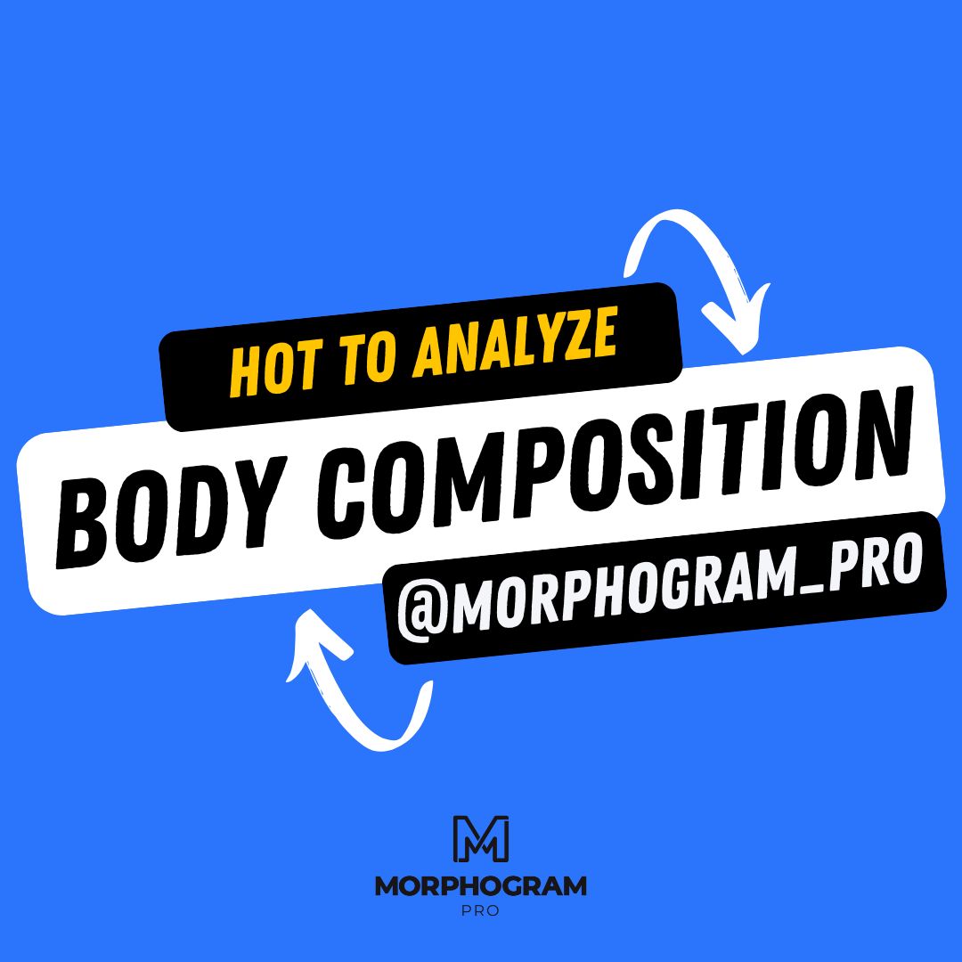 morphogram's tweet photo. What are the most used tools to analyze #bodycomposition? In this article we analyze each one of them! https://t.co/RVVp6kVvJo  #morphogram #nutrizionisti #software https://t.co/4fEMaZfWF0