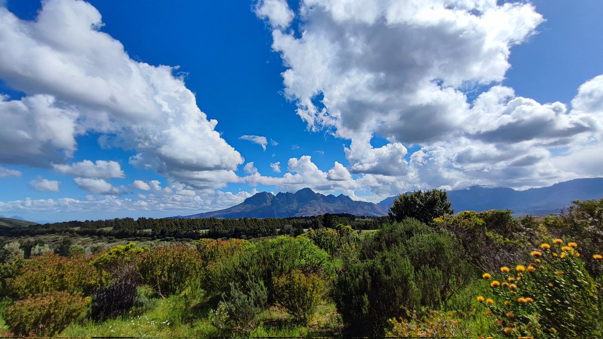 SphereZA's tweet image. Weekend vibes