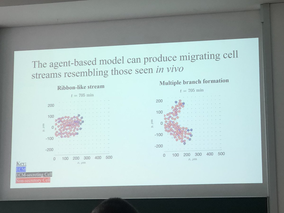 CicelyKrystyna's tweet photo. Really interesting talk by @DuncanMartinson again highlighting the importance of the ECM 👏🏻 https://t.co/nm7lIBv79O