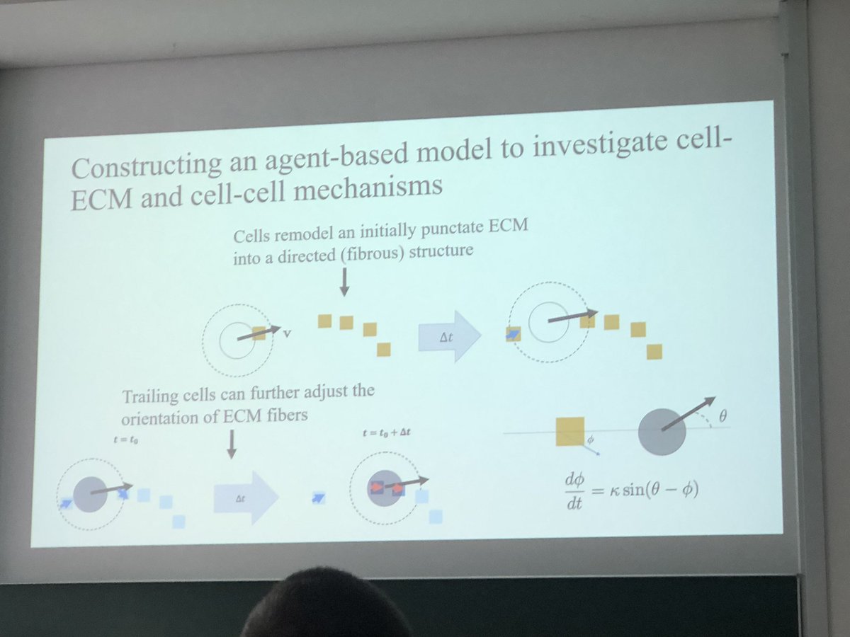 CicelyKrystyna's tweet photo. Really interesting talk by @DuncanMartinson again highlighting the importance of the ECM 👏🏻 https://t.co/nm7lIBv79O