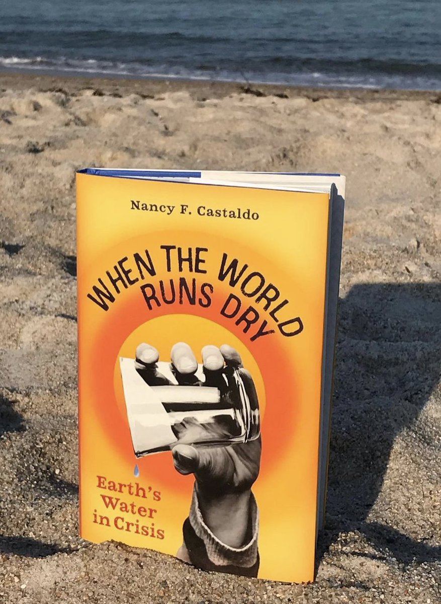 NCastaldoAuthor's tweet photo. Thanks, #HawaiiStateLibrary for recommending WHEN THE WORLD RUNS DRY! @AlgonquinYR https://t.co/v9qopY8Rbn
