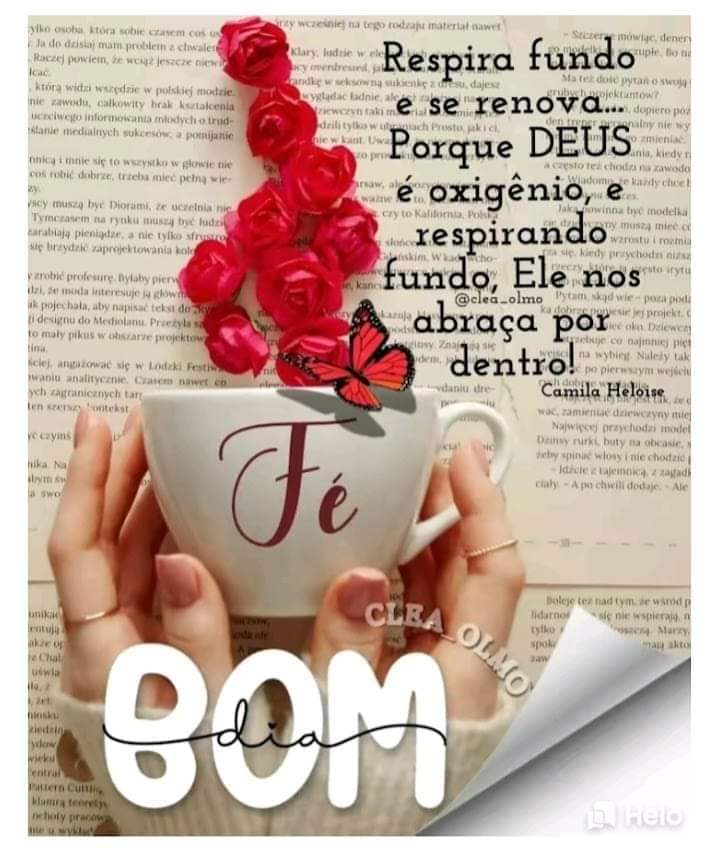AgilgarA's tweet photo. https://t.co/JiDIAANejO