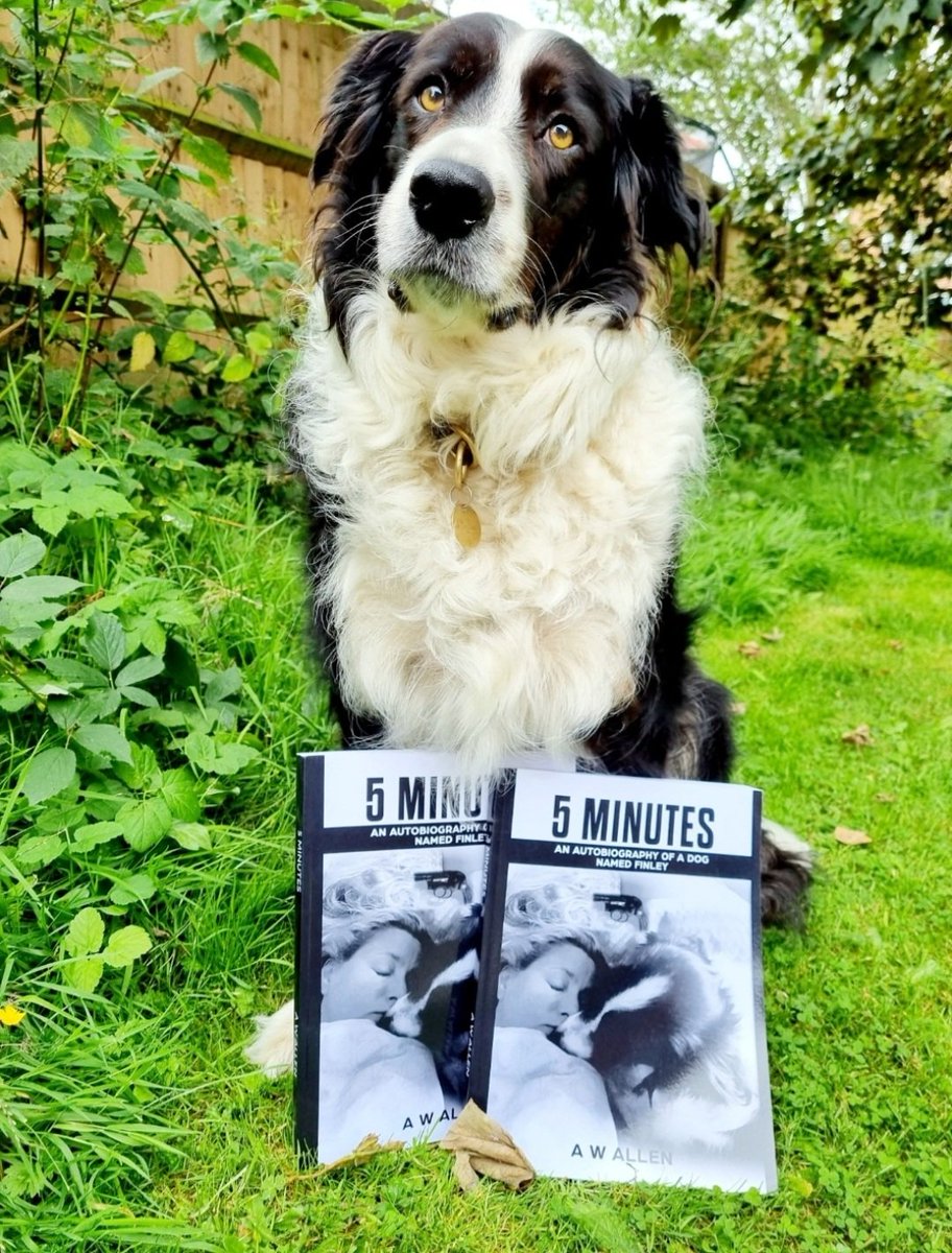 Hi Buddies👊M ordered a few📚we thought we'd given them all away. She found 1 yesterday hiding under the book shelf🤭So if you'd like a pawtographed copy, simply RT &amp; Follow to be in the draw on the 1st Oct. Good luck 👏🥰🐕🐾
#dogsoftwitter 
#book 
#Giveaways 
#WritingCommunity