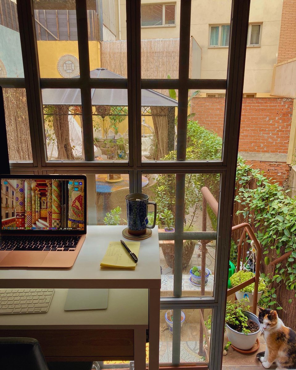 WritesAbroad's tweet photo. Morning!🌞Welcome to my Barcelona garden office. The weather’s finally cooled down enough to make it habitable again.

#barcelona #garden #jardin #officespace #plantlife #writing #writerslife #amwriting https://t.co/uJ95dYlQHO