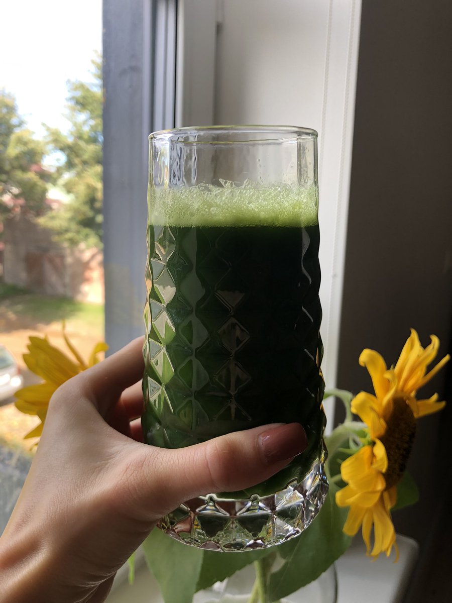 GM $FTM friends ☀️ Starting the day with Wim Hof breathwork and freshly squeezed celery juice🧃Cheers 

#wimhof #celeryjuice #startoftheday