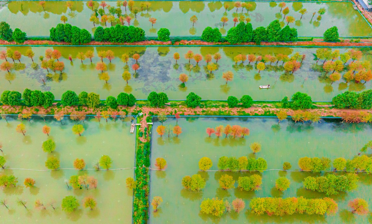 Jiangsu, China tweet media