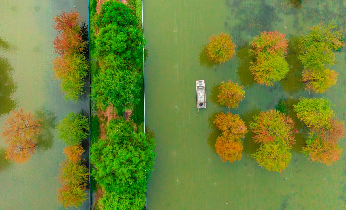 Jiangsu, China tweet media