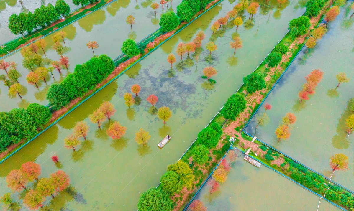 Jiangsu, China tweet media